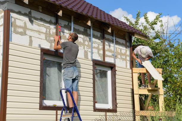 Best Steel Siding Installation  in Belmont, MS