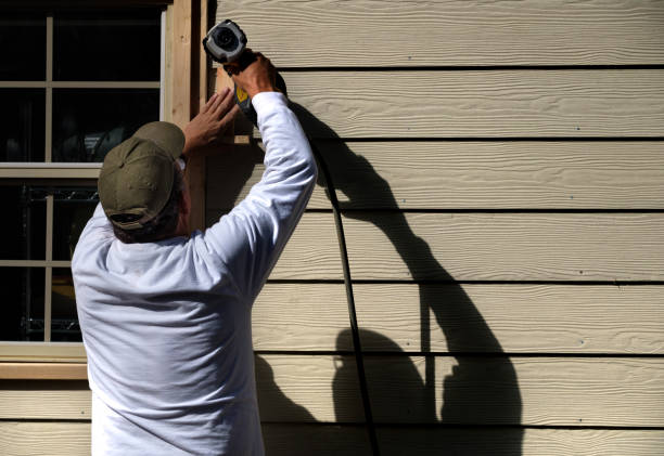 Best Custom Siding Design  in Belmont, MS
