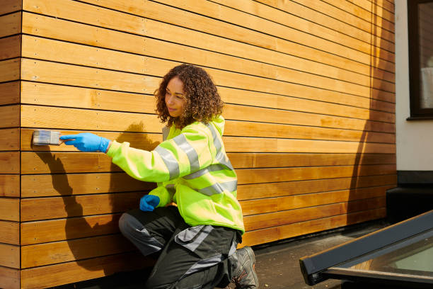 Best Vinyl Siding Installation  in Belmont, MS